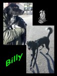 billy