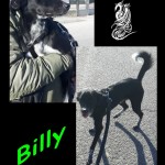 billy