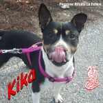 Kika