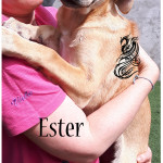 Ester