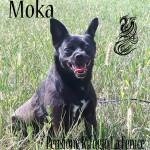 Moka