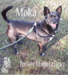 Moka