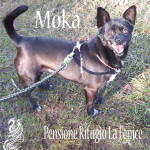 Moka