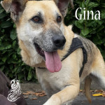 Gina