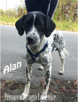 Alan