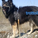 Trottolino