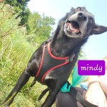 Mindy