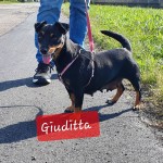 Giuditta