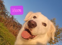 Nora