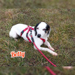 Betty