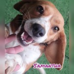 Samantha